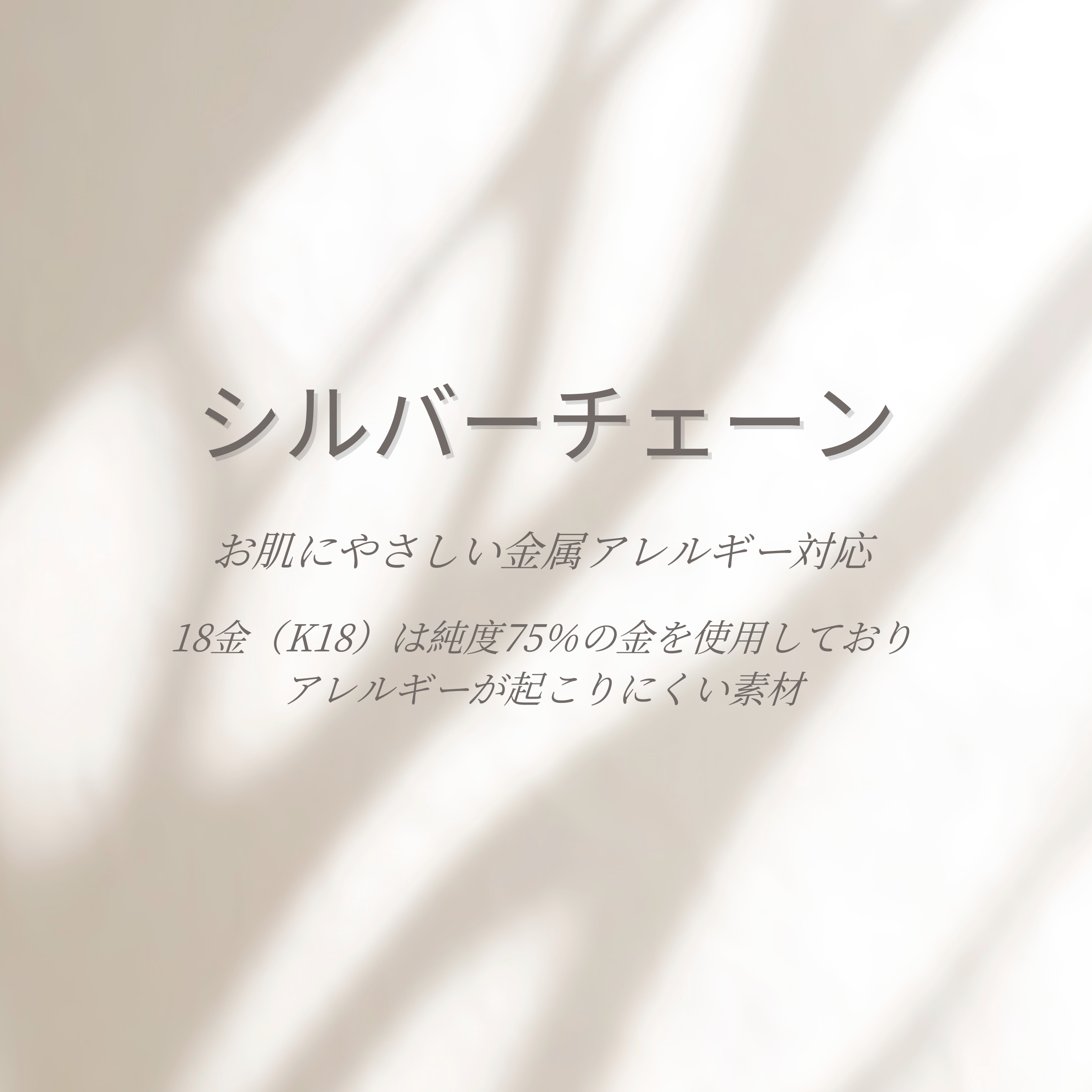 シルバーチェーン オプション