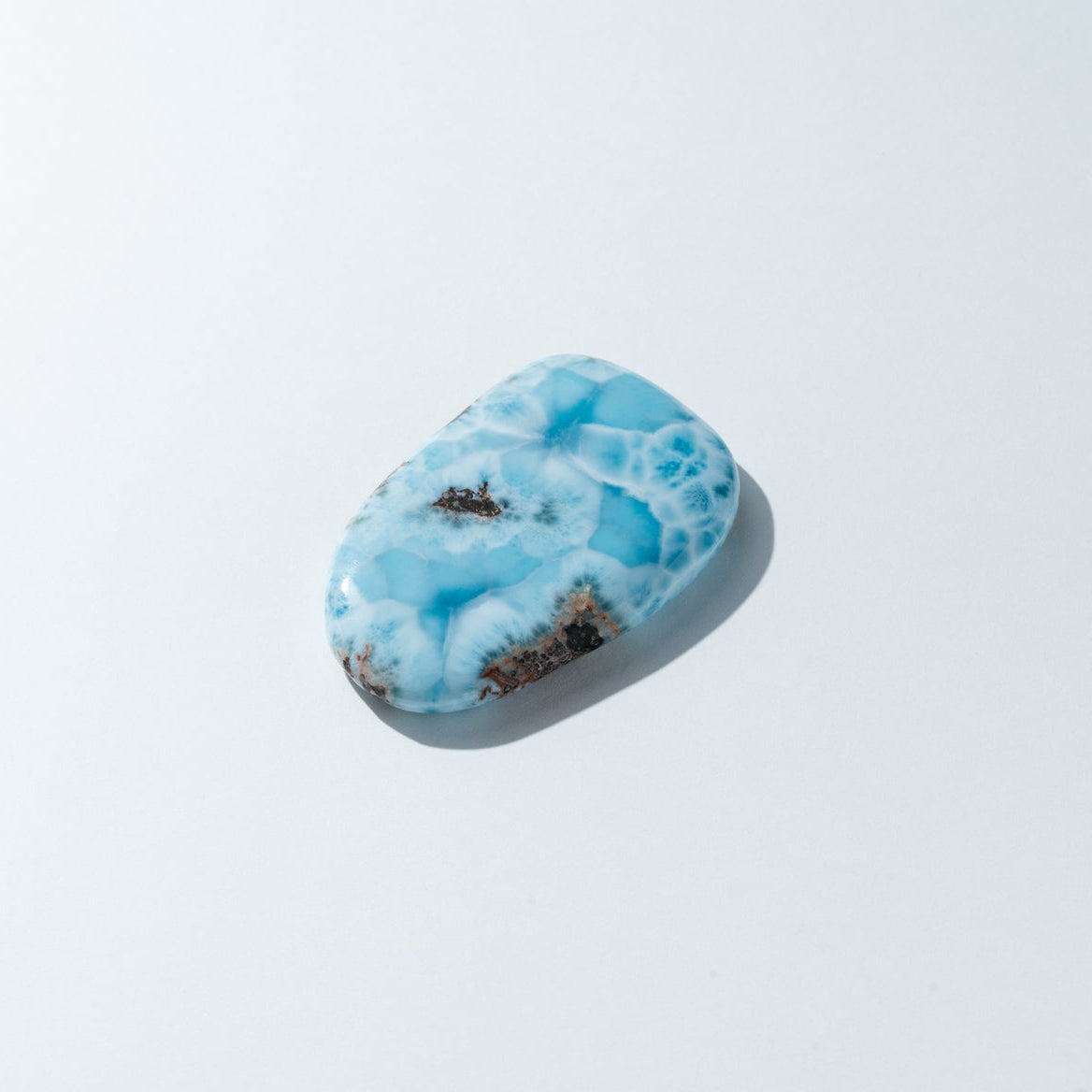 Palm Ocean