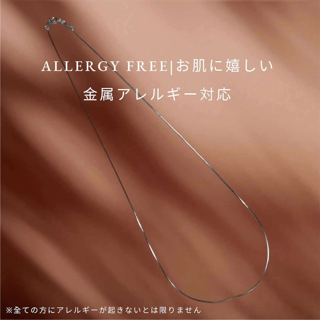 シルバーチェーン オプション